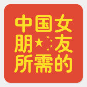 ガールフレンド中国のを探して~Hanzi Language スクエアシール (正面)