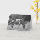 ガールライディングロバの誕生日カード カード (黄色い花)