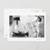 ガール食べ物を与えズベアーカブ ポストカード (正面/裏面)