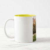 ガーンジーの庭のサンダイアル ツートーンマグカップ (左)