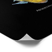 ガー・パイクス ポスター (角)