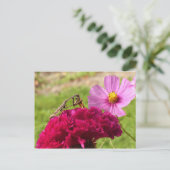 ガ祈スのマンティス ポストカード (スタンド正面)