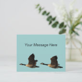 ガ飛んでいるチョウ ポストカード (スタンド正面)