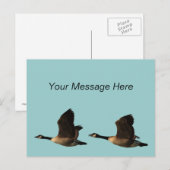 ガ飛んでいるチョウ ポストカード (正面/裏面)