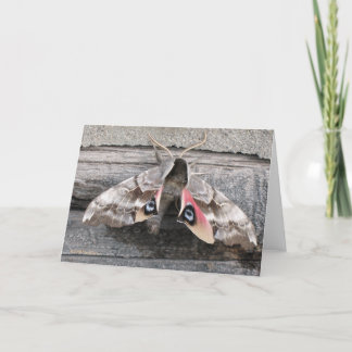 ガ、印Eastonによる空白のなメッセージカード カード