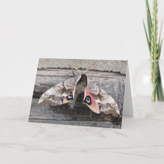 ガ、印Eastonによる空白のなメッセージカード カード (正面)