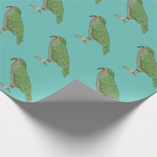 キアニュージーランド鳥 ラッピングペーパー (角)