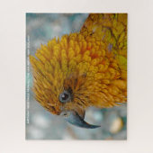 キアバードニュージーランド ジグソーパズル (縦)