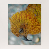 キアバードニュージーランド ジグソーパズル (縦)