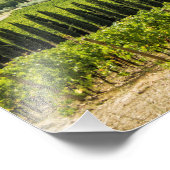 キアンティの朝のブドウ畑の風景。 フォトプリント            (角)