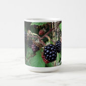 キイチゴのマグ コーヒーマグカップ (中央)