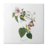 キイロアメリカムシクイのAudubonの青飛んだ鳥アメリカ タイル (正面)