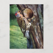 キイロシャフトヒラヒラと樹洞 ポストカード (正面)