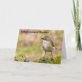 キイロスイカモドキのメス サンキューカード