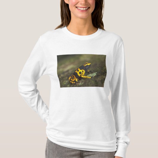 キイロバンドヤドクガエル属 Tシャツ (正面)
