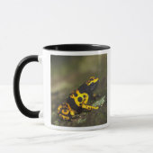 キイロバンドヤドクガエル Dendrobates マグカップ (左)