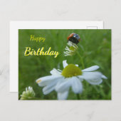 キイロムシランヌコハナ ハッピーバースデー ポストカード (正面/裏面)