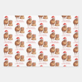 キウィバードメリキリヒメ名メリークリスマス ラッピングペーパーシート (正面2)