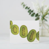 キウイの実を5切り詰める ポストカード (スタンド正面)