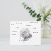 キウイを散歩に出る ポストカード (スタンド正面)