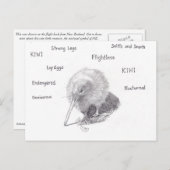 キウイを散歩に出る ポストカード (正面/裏面)