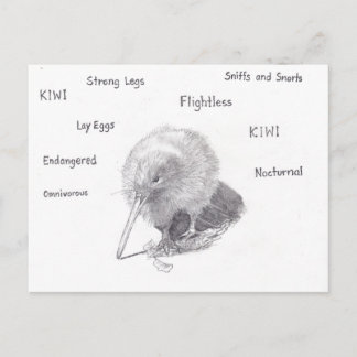 キウイを散歩に出る ポストカード