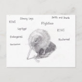 キウイを散歩に出る ポストカード (正面)