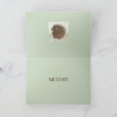 キウイバード&キウイフルーツ カード (内部)