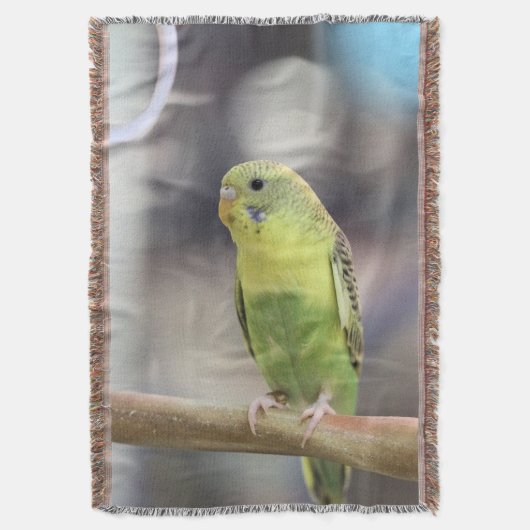 キウイバーベル スローブランケット (正面縦)