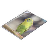 キウイバーベル ノートブック (左側)