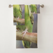 キウイバーベル