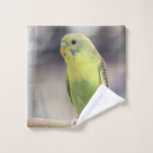 キウイバーベル バスタオルセット (ウォッシュタオル)