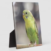 キウイバーベル フォトプラーク (側面)