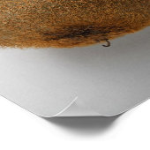 キウイフルーツのクローズアップ2 ポスター (角)