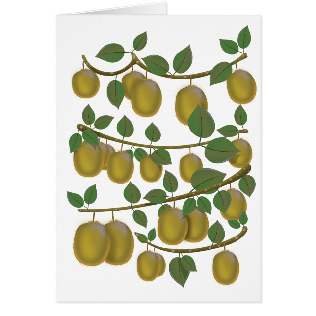 キウイフルーツ (正面)