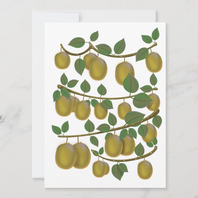 キウイフルーツ (正面)