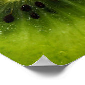 キウイフルーツ ポスター (角)