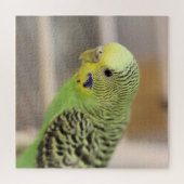 キウイ ジグソーパズル (横)