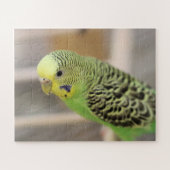 キウイ ジグソーパズル (横)