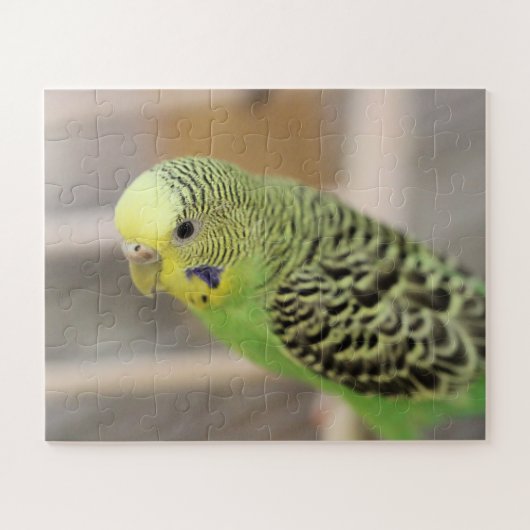 キウイ ジグソーパズル (横)