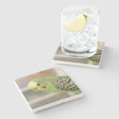 キウイ ストーンコースター (横)