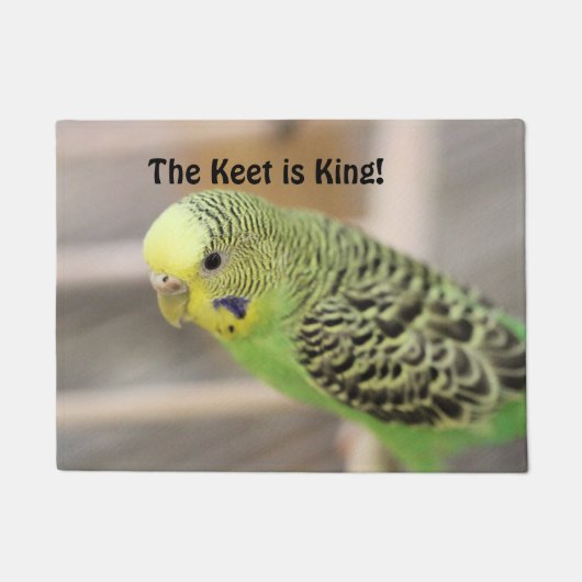 キウイ ドアマット (正面)