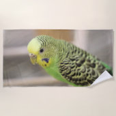 キウイ ビーチタオル (正面)