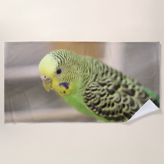 キウイ ビーチタオル (正面)