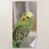 キウイ ビーチタオル (正面)