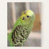 キウイ プランナー手帳 (裏面)