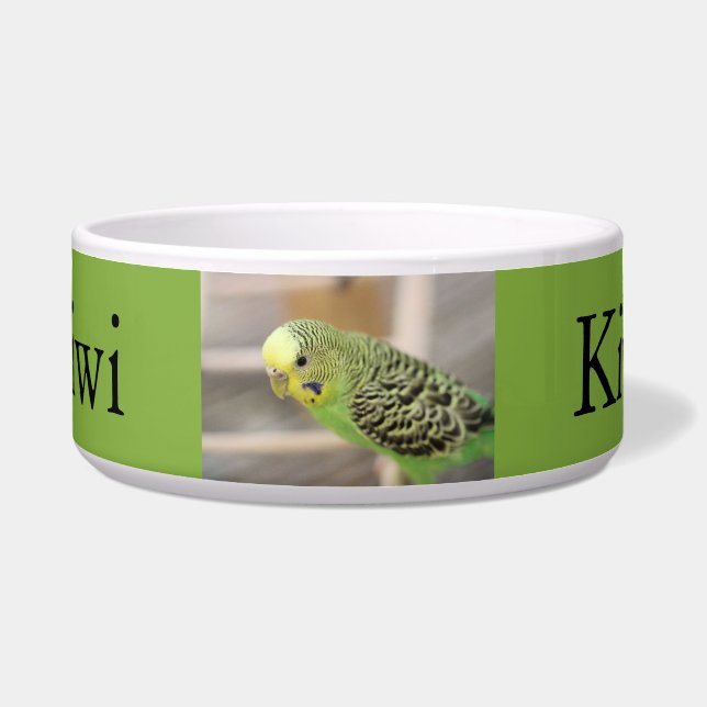 キウイ ボウル (正面)