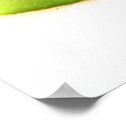 キウイ ポスター (角)