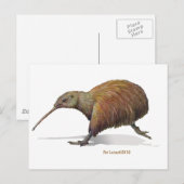 キウイ ポストカード (正面/裏面)