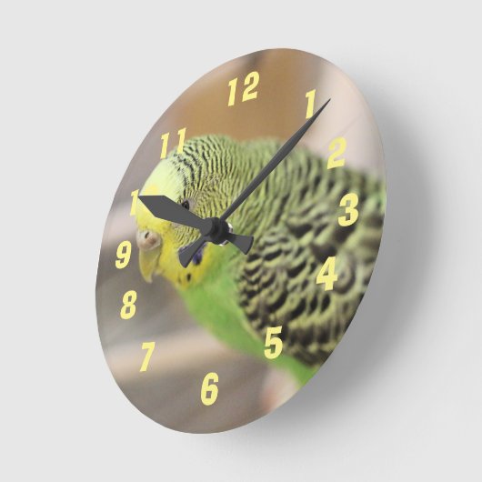 キウイ ラウンド壁時計 (傾斜)